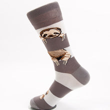 Load image into Gallery viewer, Animal Socks